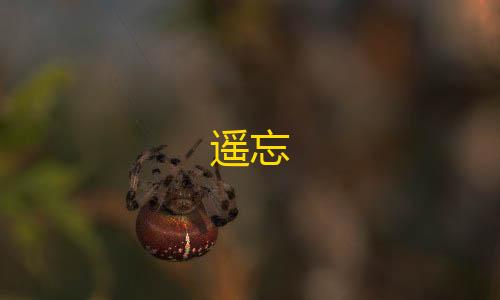 暗区突围自瞄透视辅助器介绍遥忘